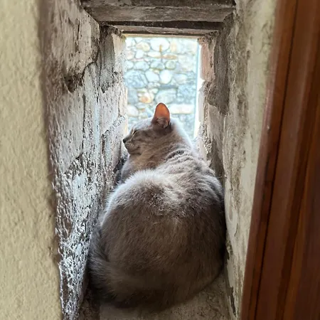 Longo Mai *